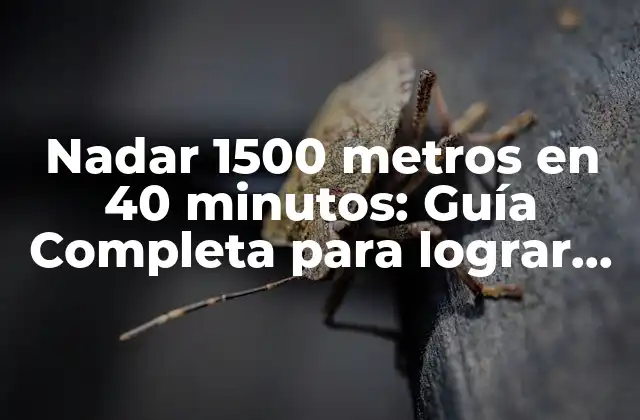 Nadar 1500 Metros en 40 Minutos: Guía Completa para Lograr Este Reto