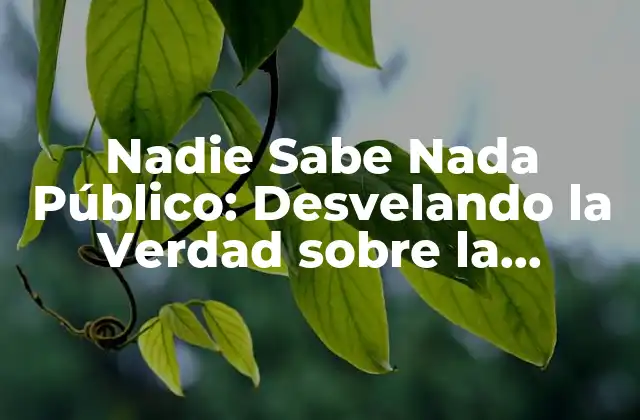 Nadie Sabe Nada Público: Desvelando la Verdad sobre la Información en la Era Digital
