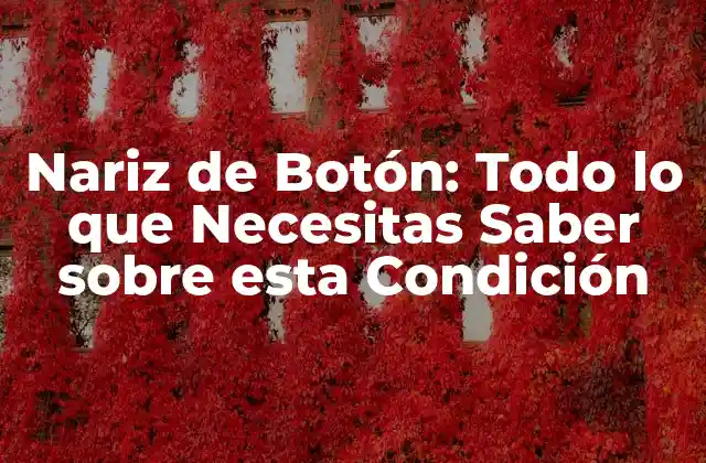 Nariz de Botón: Todo Lo que Necesitas Saber sobre Esta Condición