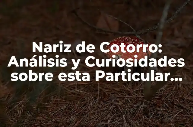 Nariz de Cotorro: Análisis y Curiosidades sobre Esta Particular Formación Nasal