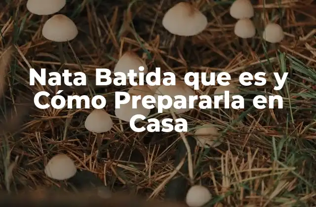 Definición de Nata Batida