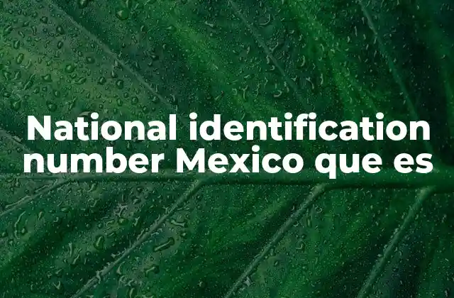 National Identification Number Mexico que es