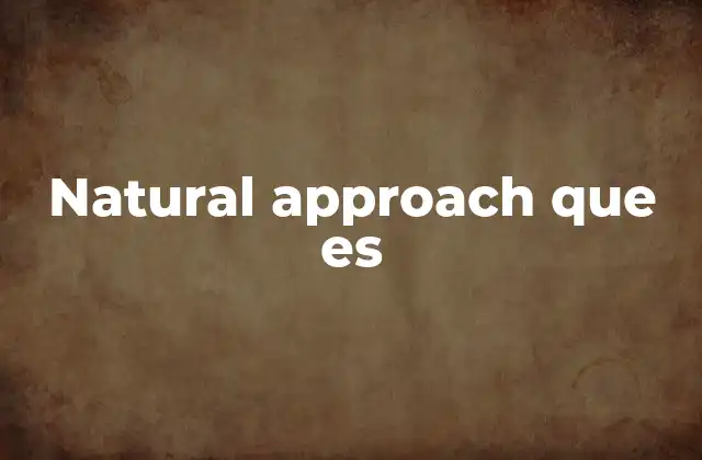 El enfoque basado en la comprensión