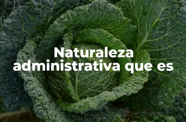 Naturaleza Administrativa que es