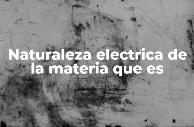 Naturaleza Electrica de la Materia que es