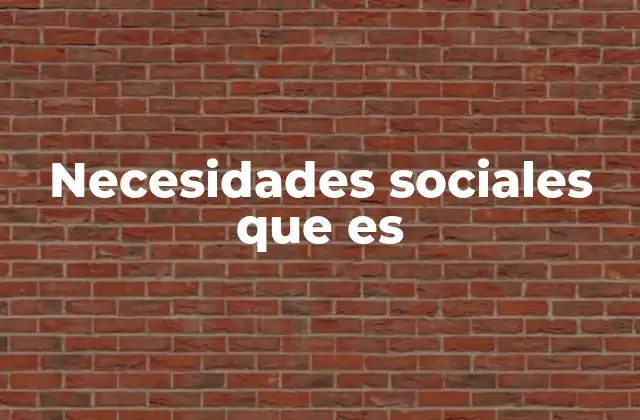 Necesidades Sociales que es