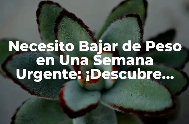 Necesito Bajar de Peso en una Semana Urgente: ¡descubre Cómo!