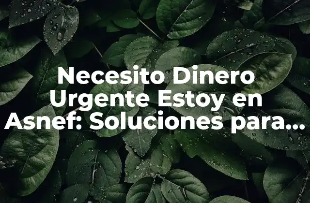 Necesito Dinero Urgente Estoy en Asnef: Soluciones para Emergencias Financieras