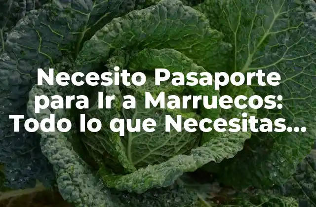 Necesito Pasaporte para Ir a Marruecos: Todo Lo que Necesitas Saber