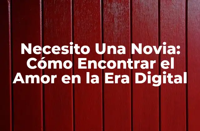 Necesito una Novia: Cómo Encontrar el Amor en la Era Digital 2 ¿Qué Significa Necesitar Una Novia?