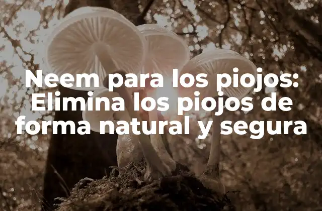 Neem para los Piojos: Elimina los Piojos de Forma Natural y Segura