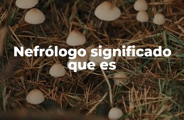 Nefrólogo Significado que es