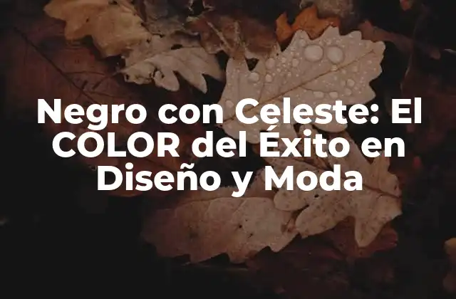 La Teoría del Color detrás de Negro con Celeste