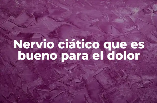 Nervio Ciático que es Bueno para el Dolor