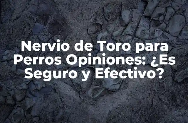 Nervio de Toro para Perros Opiniones: ¿es Seguro y Efectivo?