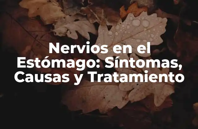 Nervios en el Estómago: Síntomas, Causas y Tratamiento