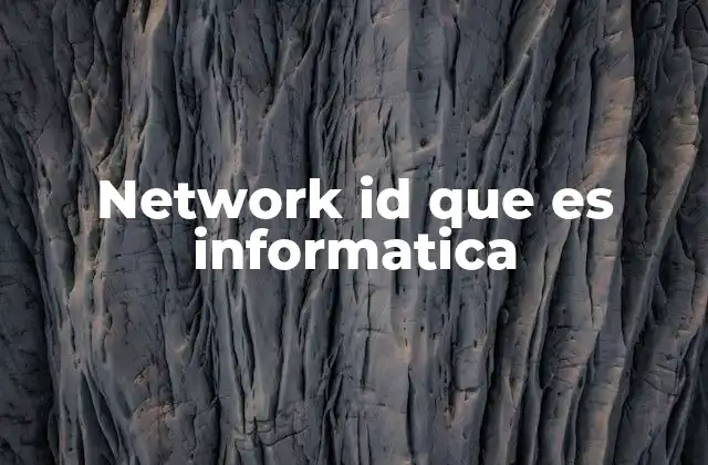 Network Id que es Informatica