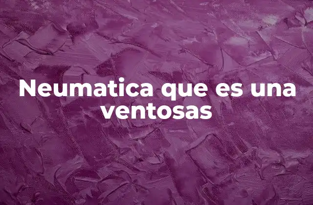 Neumatica que es una Ventosas