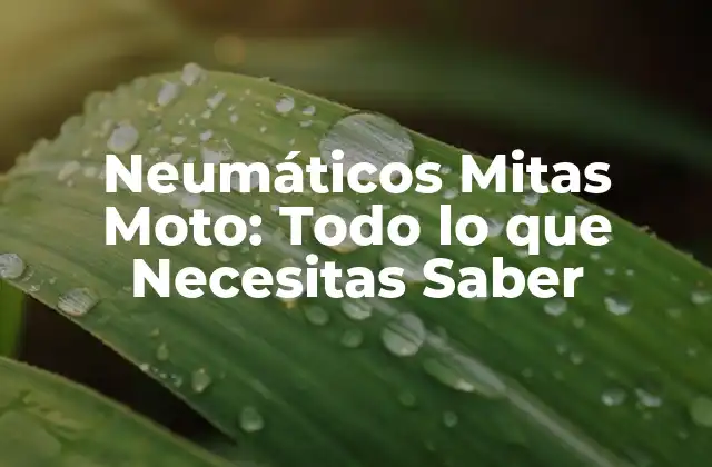 Características de los Neumáticos Mitas Moto
