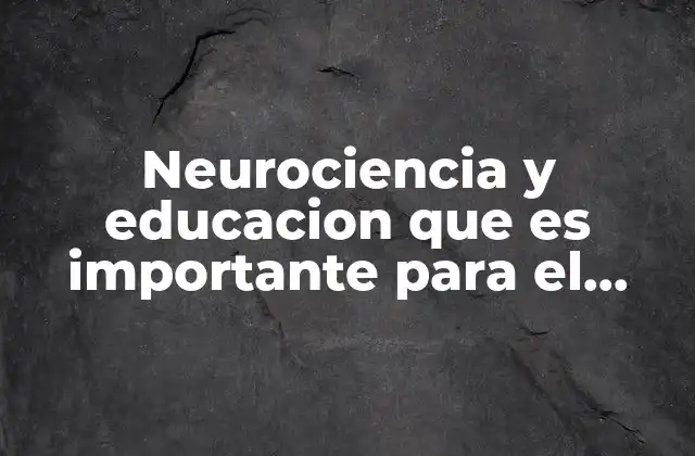 Neurociencia y Educacion que es Importante para el Aprendizaje