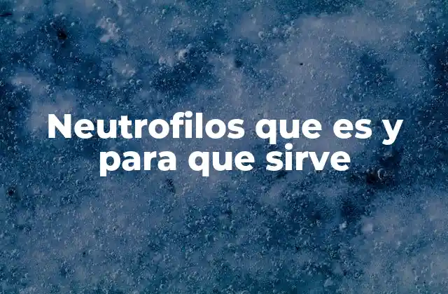 Neutrofilos que es y para que Sirve