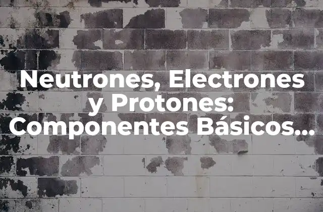 Neutrones, Electrones y Protones: Componentes Básicos de la Materia