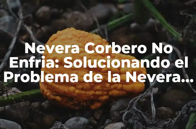 Nevera Corbero No Enfria: Solucionando el Problema de la Nevera que No Enfría