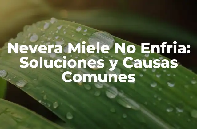 Nevera Miele No Enfria: Soluciones y Causas Comunes