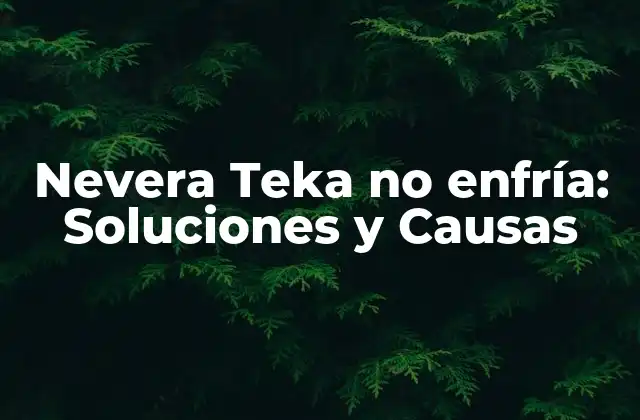 Nevera Teka No Enfría: Soluciones y Causas 2 ¿Qué pasaría si mi nevera Teka no enfría?