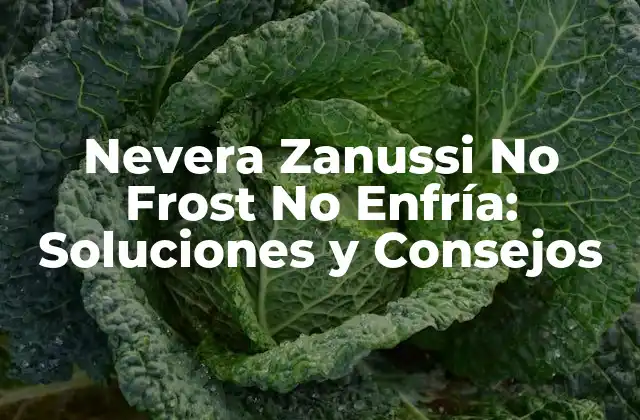 Nevera Zanussi No Frost No Enfría: Soluciones y Consejos