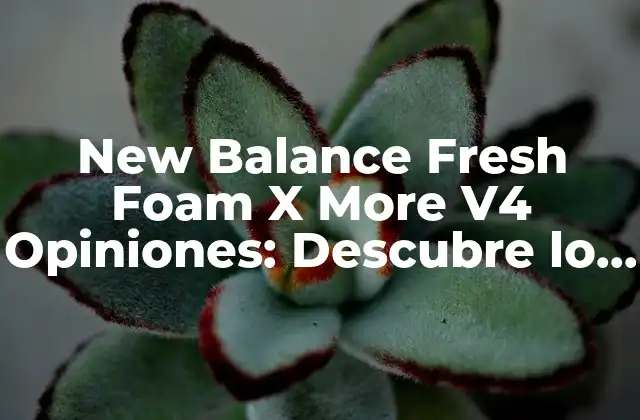 New Balance Fresh Foam X More V4 Opiniones: Descubre Lo que los Corredores Dicen