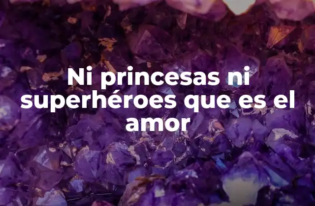 Ni Princesas ni Superhéroes que es el Amor