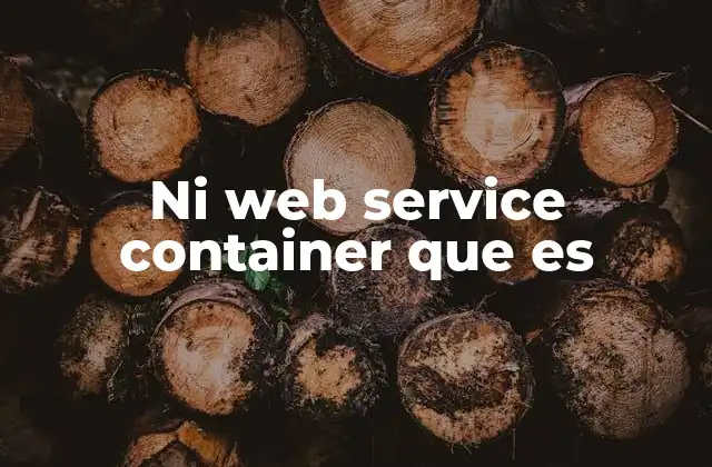 Ni Web Service Container que es