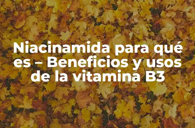 Niacinamida para Qué es – Beneficios y Usos de la Vitamina B3