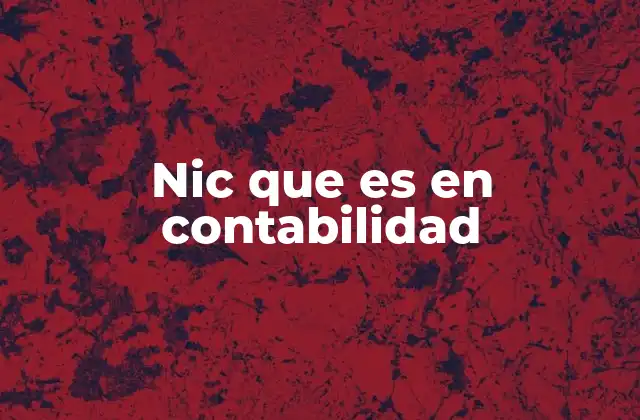 Nic que es en Contabilidad