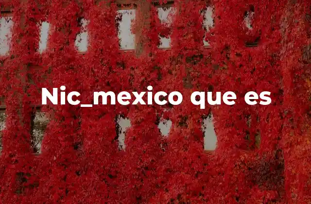 Nic_mexico que es