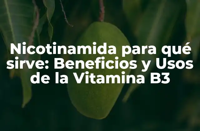Nicotinamida para Qué Sirve: Beneficios y Usos de la Vitamina B3