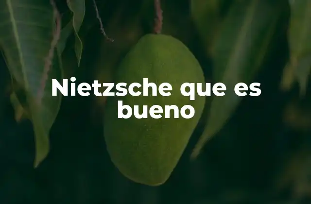 Nietzsche que es Bueno 2 La redefinición de lo bueno en la filosofía de Nietzsche