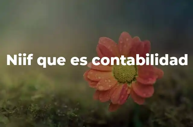 Niif que es Contabilidad