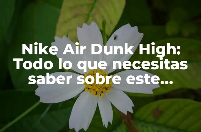 Nike Air Dunk High: Todo Lo que Necesitas Saber sobre Este Icónico Sneaker