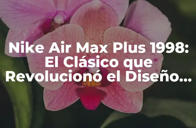 Nike Air Max Plus 1998: el Clásico que Revolucionó el Diseño de Zapatillas