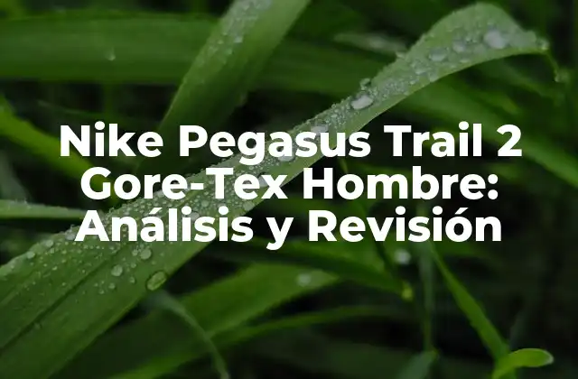 Nike Pegasus Trail 2 Gore-tex Hombre: Análisis y Revisión