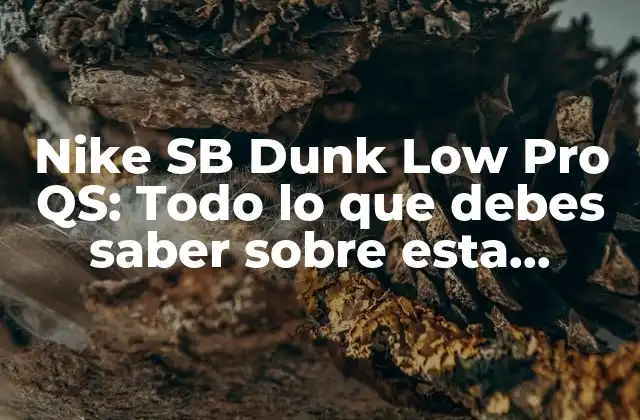 Nike Sb Dunk Low Pro Qs: Todo Lo que Debes Saber sobre Esta Icónica Zapatilla de Skateboarding