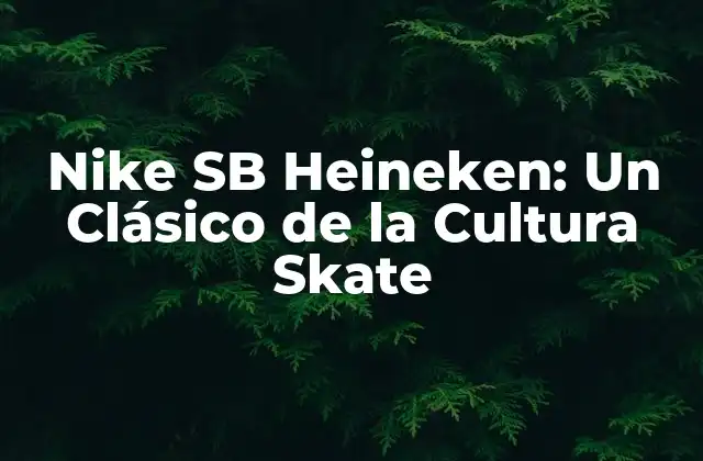 Nike Sb Heineken: un Clásico de la Cultura Skate
