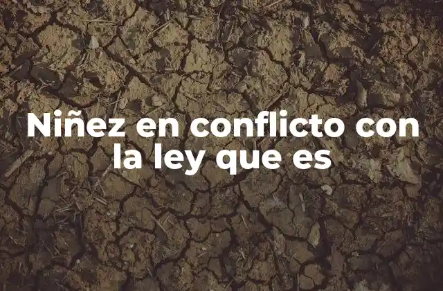 Niñez en Conflicto con la Ley que es