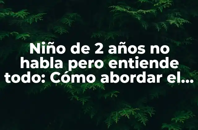 Niño de 2 Años No Habla pero Entiende Todo: Cómo Abordar el Retraso en el Lenguaje