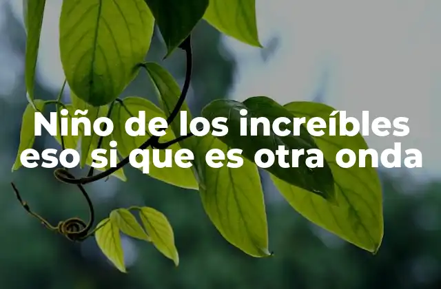 Niño de los Increíbles Eso Si que es Otra Onda