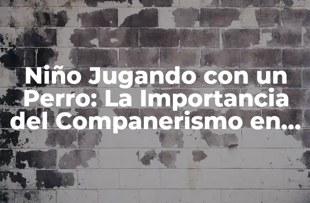Niño Jugando con un Perro: la Importancia Del Companerismo en la Infancia