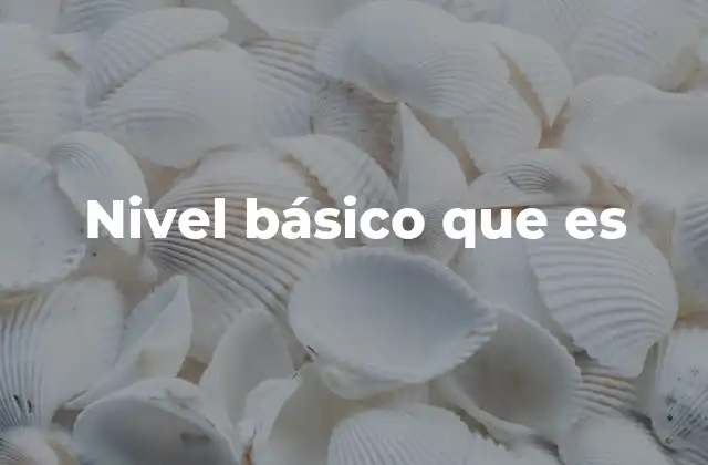 Nivel Básico que es
