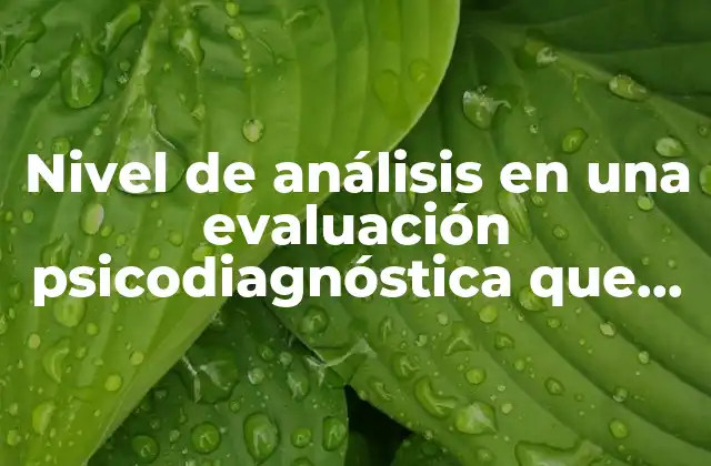 Nivel de Análisis en una Evaluación Psicodiagnóstica que es